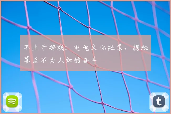 不止于游戏：电竞文化纪录，揭秘幕后不为人知的奋斗