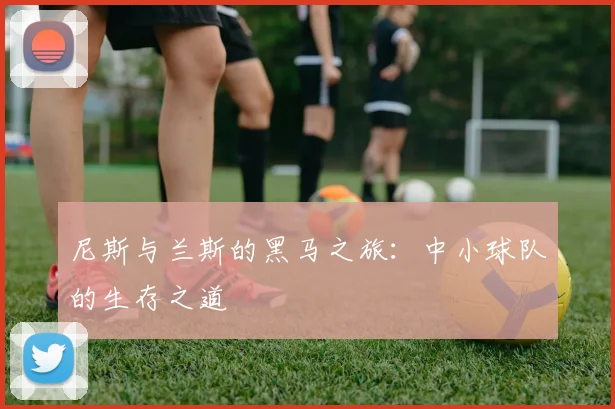 尼斯与兰斯的黑马之旅：中小球队的生存之道